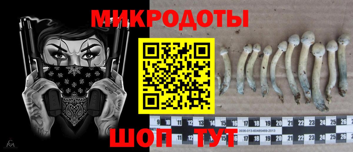 Рязань  Галлюциногенные грибы MAGIC MUSHROOMS  Галлюциногенные грибы Psilocybine cubensis  где купить наркоту  Вход с VPN 